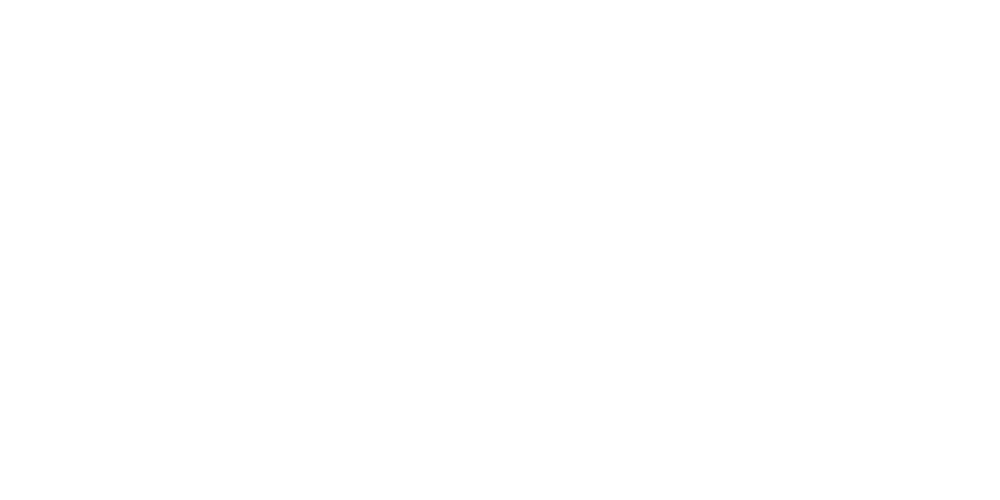 24dent logo white